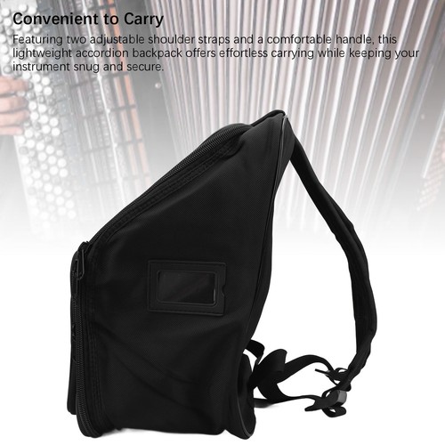 Accordion instrument storage - accordion,